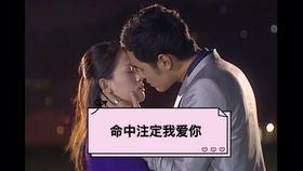 命中注定要爱你,爱在轮回中绽放