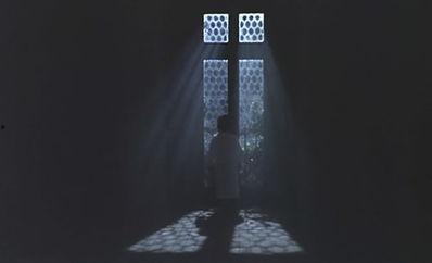 蜂巢幽灵,揭秘神秘蜂群中的神秘现象