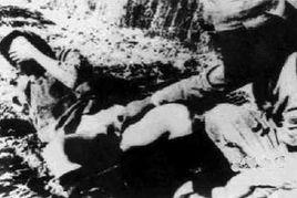 南京大屠杀揭秘,历史真相与民族记忆的揭秘